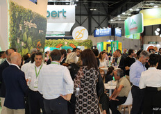 Pleno en Syngenta