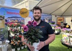 Charlie Duft de Beekenkamp presenta Dahlia LaBella Grande Rosa de chocolate