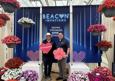 Dos nuevos colores se unen a la serie Beacon® Impatiens de I. walleriana resistente a las enfermedades: Blue Pearl y Light Pink. Beacon sigue causando impacto en los jardines de sombra de todo el mundo, y la compra de semillas de Impatiens Beacon ayuda a apoyar a una nueva organización benéfica cada año a través de su campaña "Shine the Light". Para 2025, el Dr. Allan Armitage (izquierda) presentó a esp, Inc. (Extra Special People) en Athens, Georgia, EE.UU., como uno de los beneficiarios benéficos. El Dr. A se encuentra junto al director mundial de ventas de PanAmerican Seed, Sean Valk, que se congratula de la colaboración de la campaña para concienciar sobre esp.