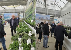 Los visitantes comprueban las nuevas y exclusivas variedades de Hishtil: Rosmarinus 'Gorizia', Thymus mastichina Compact 'POMPOM', Ziziphora 'High Mountain Mint' y otras selecciones destacadas, todas ellas elegidas por su resistencia, fragancia y capacidad para atraer a los polinizadores.