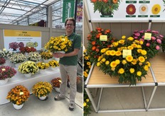 A la izquierda, Bidens BEE 'Super Star' de Kientzler en el centro de atención con la colección completa de Bidens con las series BEE Meadow, BEE y mini BEE al fondo. A la derecha, su nueva serie Bracteantha sunbrero con 'amarillo', 'rojo' y 'rosa'.