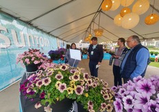 El equipo de Mast Young Plants viendo Surfinia de Suntory.