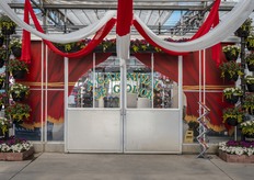 CAST 2025 dio la bienvenida a los visitantes a un Carnaval de Color en Sakata. "Con un tema de carnaval emocionante y atractivo en todo el invernadero, los visitantes encontraron nuevas emociones en cada esquina. Nos hizo mucha ilusión colaborar por segunda vez con el diseñador gráfico y muralista local de Monterey, Brennen Handley, de Two Wolf Designs, que pasó semanas diseñando y pintando las ventanas de nuestro invernadero y superándose a sí mismo respecto al año pasado."