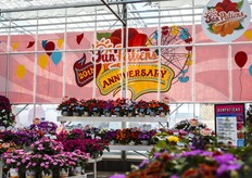 Además de varios murales en las ventanas, Brennen también diseñó el logotipo del 20 aniversario de SunPatiens® de Sakata para ayudar a celebrar el hito. Este logotipo se colocó por todo el invernadero, incluso en una noria que atraía a los visitantes al expositor de SunPatiens".