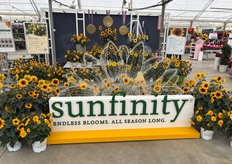 Sunfitity de Syngeta