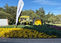 En Syngenta