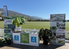 Laboratorio de cultivo de tejidos Vitroflora en el Santa Barbara Polo Club