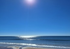 Del 20 al 22 de noviembre de 2024, se ha celebrado en Vilamoura, a orillas del océano Atlántico en el Algarve portugués, la 18.ª edición del Congreso Internacional de Organizaciones de Productores de Frutas y Hortalizas. Participantes de toda Europa pudieron disfrutar del congreso, y del calor y el sol del sur de Europa