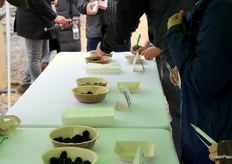 Cata de moras
