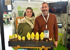 Cichorium con Lou-Jenna Parizet y Philippe Banquet