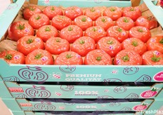 Una propuesta polaca: el tomate rosa.