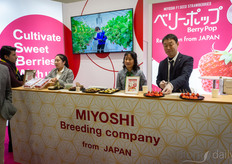Además de sus fresas, el equipo de Miyoshi también trajo batatas y wasabi.