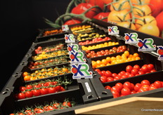 La resistencia al ToBRFV sigue siendo importante, incluso ahora que el virus ya no tiene estatus Q en Europa. Cada vez más especialidades de Axia Vegetable Seeds también tienen resistencia XR al ToBRFV.