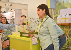 Abejorros Biobest