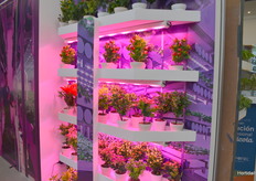 ¿Agricultura vertical?