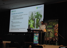 Lennard Gracia-de Heer explica su investigación sobre la importancia de la expresión sexual en Cannabis sativa.