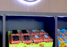 El equipo de Mastronardi estaba ocupado hablando, pero nos aseguramos de comprobar sus tomates y frutos rojos y nos fuimos con el agua en la boca, ya que sus tomates Sunset y Berryworld tenían un aspecto estupendo.