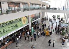 Este año hubo un 23% más de visitantes.