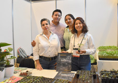 El equipo de Quick Plug, introduciendo verduras para el mercado mexicano.