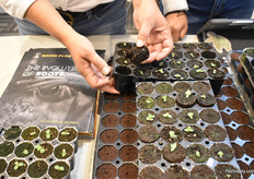 GreenTech Americas fue un show particularmente delicioso...