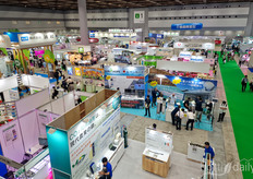 Panorama del espectáculo