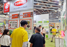 En Passion Seed hubo mucho interés por las tomateras injertadas