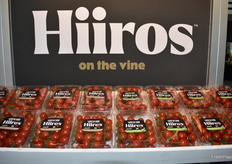 Tomates madurados en rama Hiiros de Nature Fresh Farms.