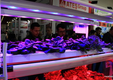 Sistemas VerticalFarm de Tartes