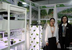 Sophia Nee y Jennifer Wu de Grand N Fortune Limited