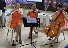 Trío musical en el pabellón holandés