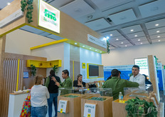 El Equipo Fito trajo varios pepinos, así como sus otras variedades de hortalizas