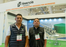 Lizandro Saldaña, Irán Salomé, Harnois.