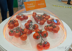 En el stand de Nunhems se mostró la nueva variedad WinVine