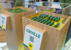 Presentación de variedades de pepino en Fito.