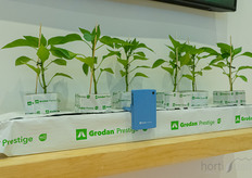 El sensor Grosens, en el stand de Grodan.