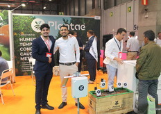 Stand de Plantae