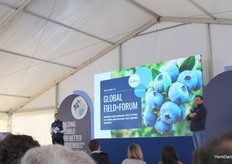 Momento del Field + Forum