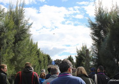 Los asistentes nos repartimos en 4 grupos para conocer y probar las diferentes berries de Planasa, bajo la atenta mirada del dron que nos seguía sobre nuestras cabezas,