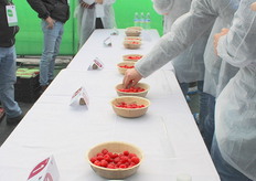 Jorge Fouillioux prueba las frambuesas de Planasa