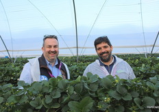 Rupert Carter, de WB Chambers junto a Jose Carvalho, de Alpine Fresh