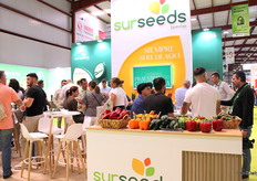 Stand de las variedades 100% almerienses de Sur Seeds