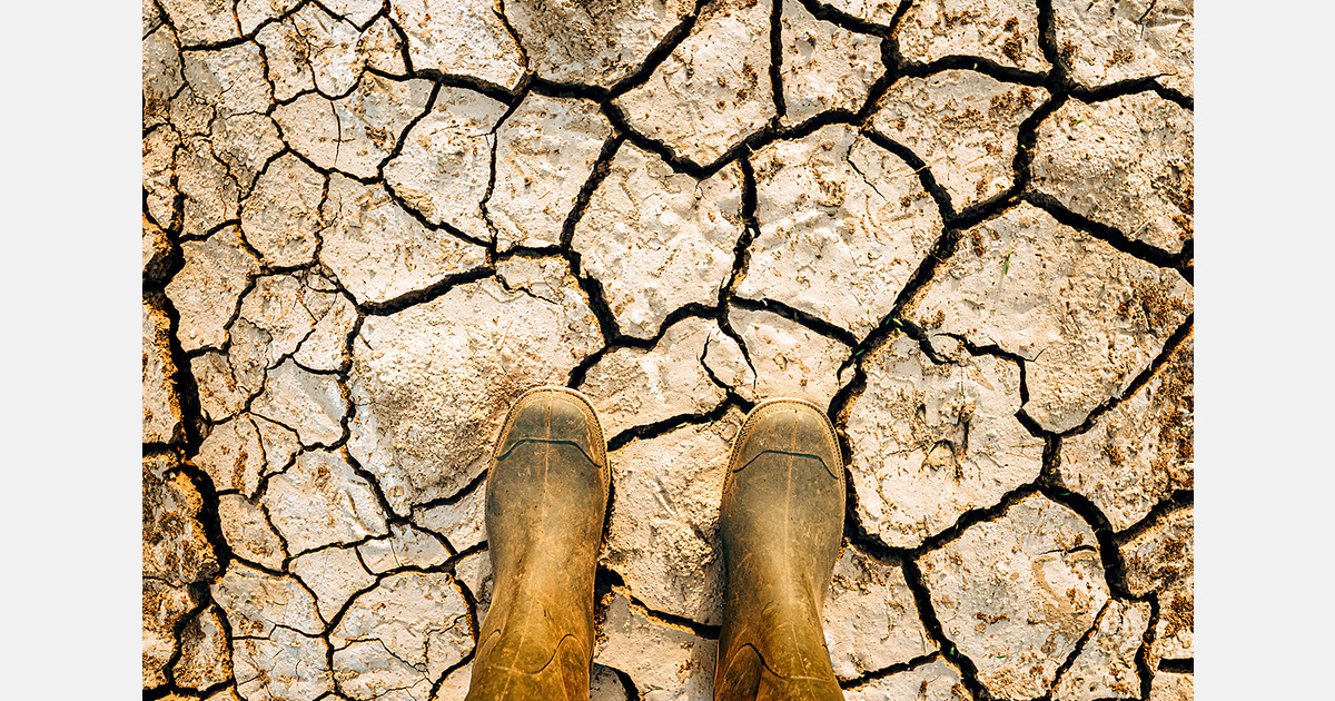 Yucat&aacute;n y otros estados de M&eacute;xico est&aacute;n afectados por sequ&iacute;a severa y moderada